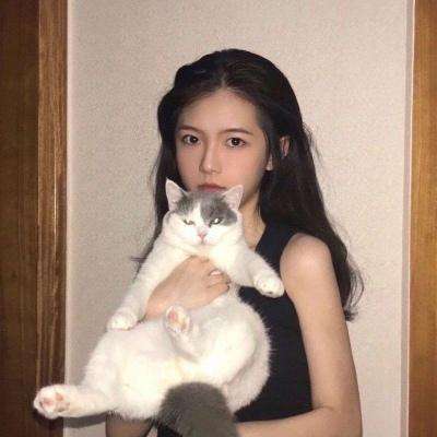 代号ace测试版